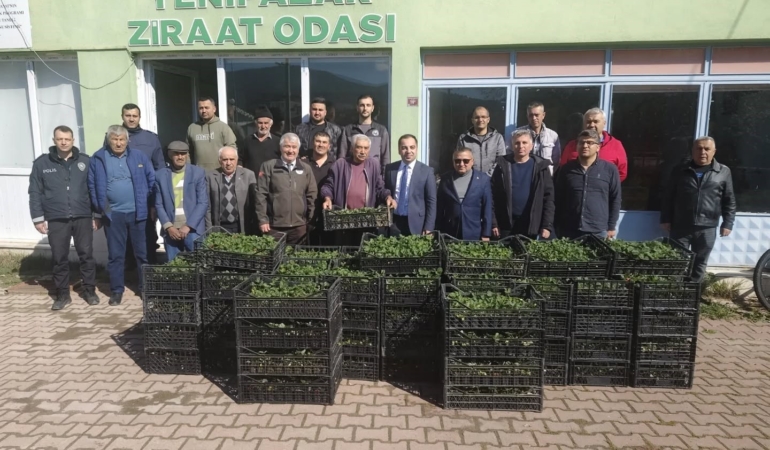 Bilecik’te 8 bin çilek fidesi üreticiyle buluştu