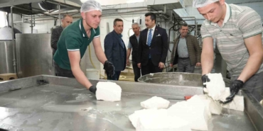 Her gün 3,5 ton sütten 12 çeşit peynir üretiyorlar