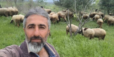 Çeşme sakızı ile Fransız koçunu birleştirdi, verimi katladı
