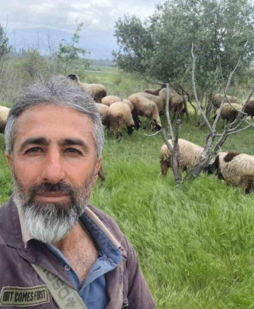 Çeşme sakızı ile Fransız koçunu birleştirdi, verimi katladı