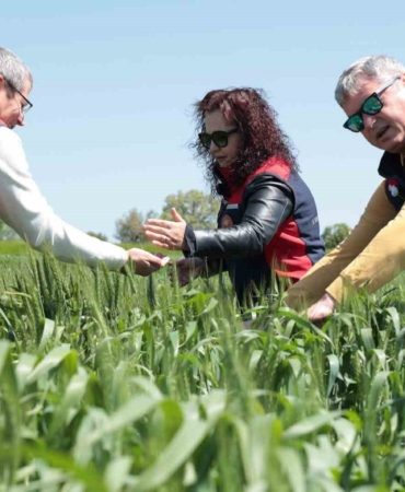 Çanakkale’de ekili ve dikili alanlarda kontroller devam ediyor