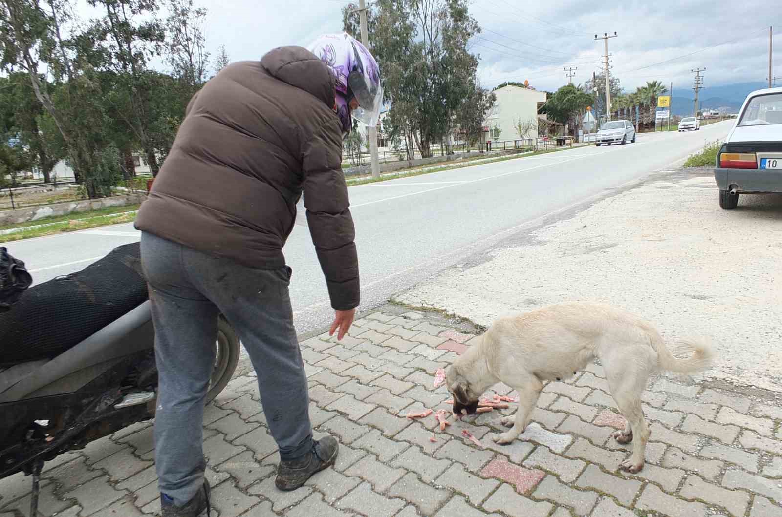 Edremitli genç 5 yıldır sokak köpeklerini besliyor