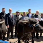 Kocaeli’deki manda yetiştiricilerine 3,4 milyon liralık destek