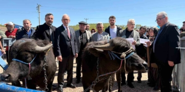 Kocaeli’deki manda yetiştiricilerine 3,4 milyon liralık destek
