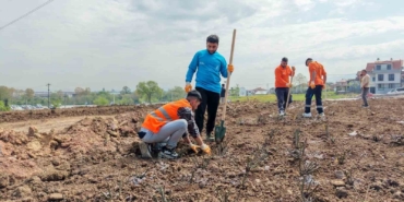 Başiskele’de 15 bin gül fidanı toprakla buluşuyor