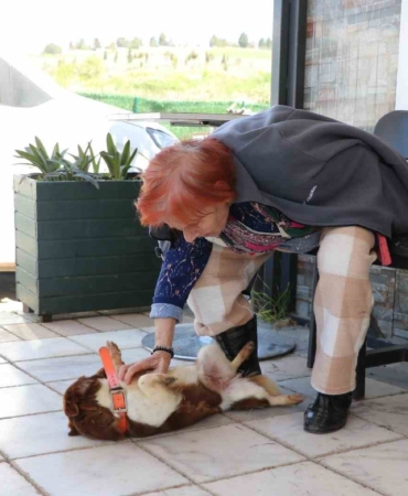 Yalova’da Cevriye teyze can dostu ile duygulandıran buluşma