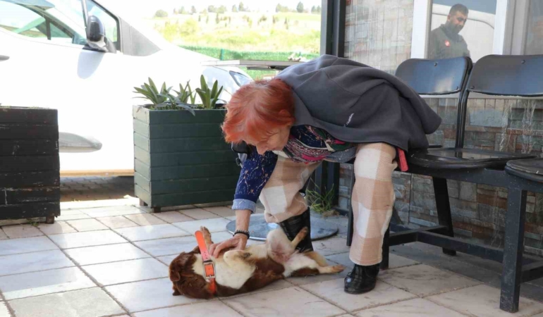 Yalova’da Cevriye teyze can dostu ile duygulandıran buluşma