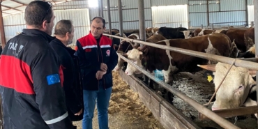 Kırklareli’nde besi çiftliği kontrolleri devam ediyor