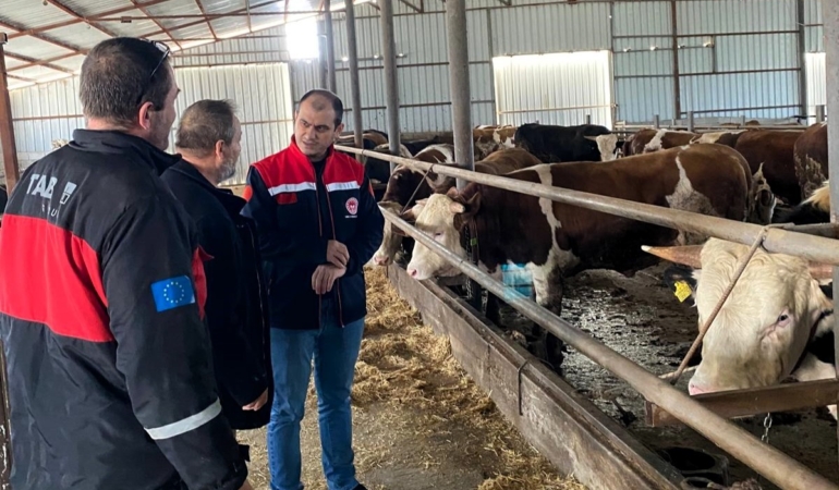 Kırklareli’nde besi çiftliği kontrolleri devam ediyor