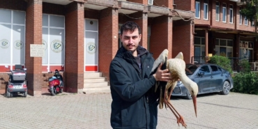Bilecik’te yaralı leylek koruma altına alındı