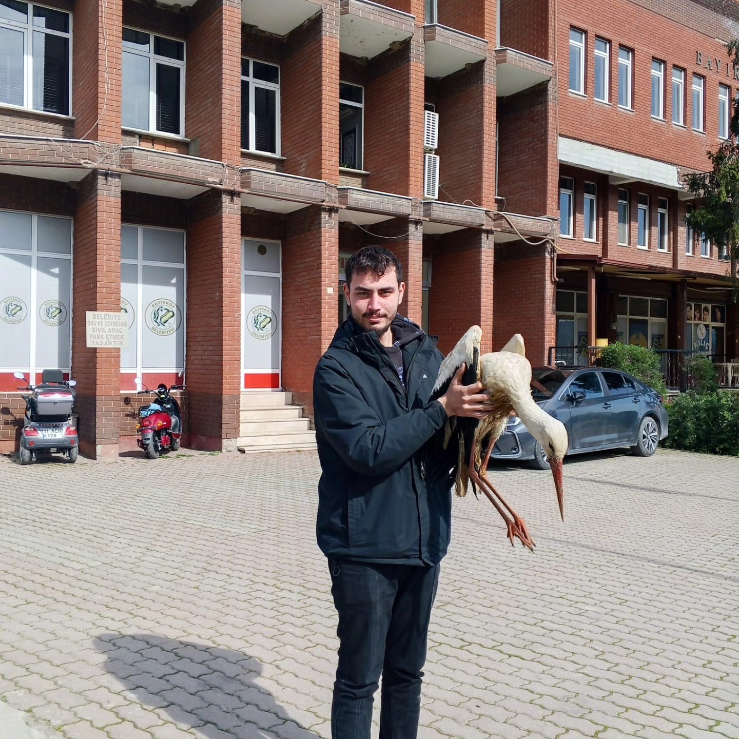 Bilecik’te yaralı leylek koruma altına alındı