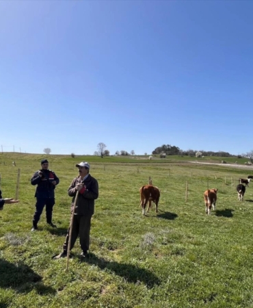 Bilecik’te hayvan hırsızlığı ve dolandırıcılık uyarısı