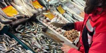 Tekirdağ’da su ürünleri denetimi