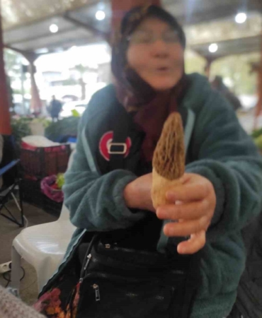 Çanakkale’de dağ köylerinde kuzugöbeği gelir kapısı oldu