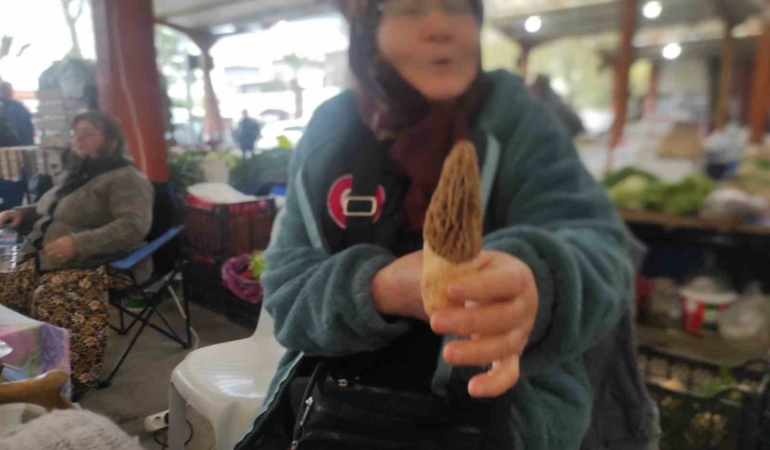 Çanakkale’de dağ köylerinde kuzugöbeği gelir kapısı oldu