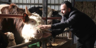 Kurbanlık alışverişinde erken alım hareketliliği