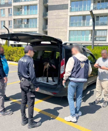 Avcılar’da köpeğe kötü muamelede bulunan şahıs yakalandı