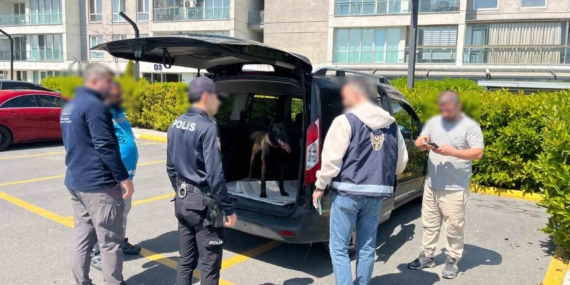 Avcılar’da köpeğe kötü muamelede bulunan şahıs yakalandı