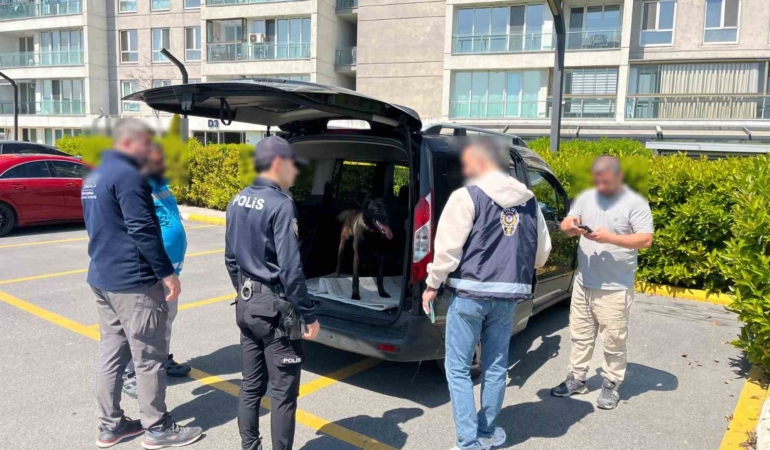 Avcılar’da köpeğe kötü muamelede bulunan şahıs yakalandı