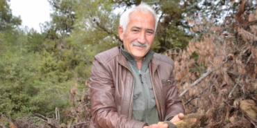 Yanan ormanlık alanda doğanın cömertliği köylüleri sevindirdi: Fiyatı gram altında yarışıyor