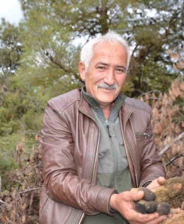 Yanan ormanlık alanda doğanın cömertliği köylüleri sevindirdi: Fiyatı gram altında yarışıyor