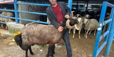 Bursa’daki kurbanlık pazarında hareketlilik