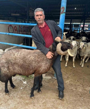 Bursa’daki kurbanlık pazarında hareketlilik