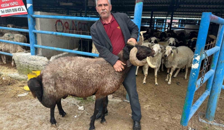 Bursa’daki kurbanlık pazarında hareketlilik
