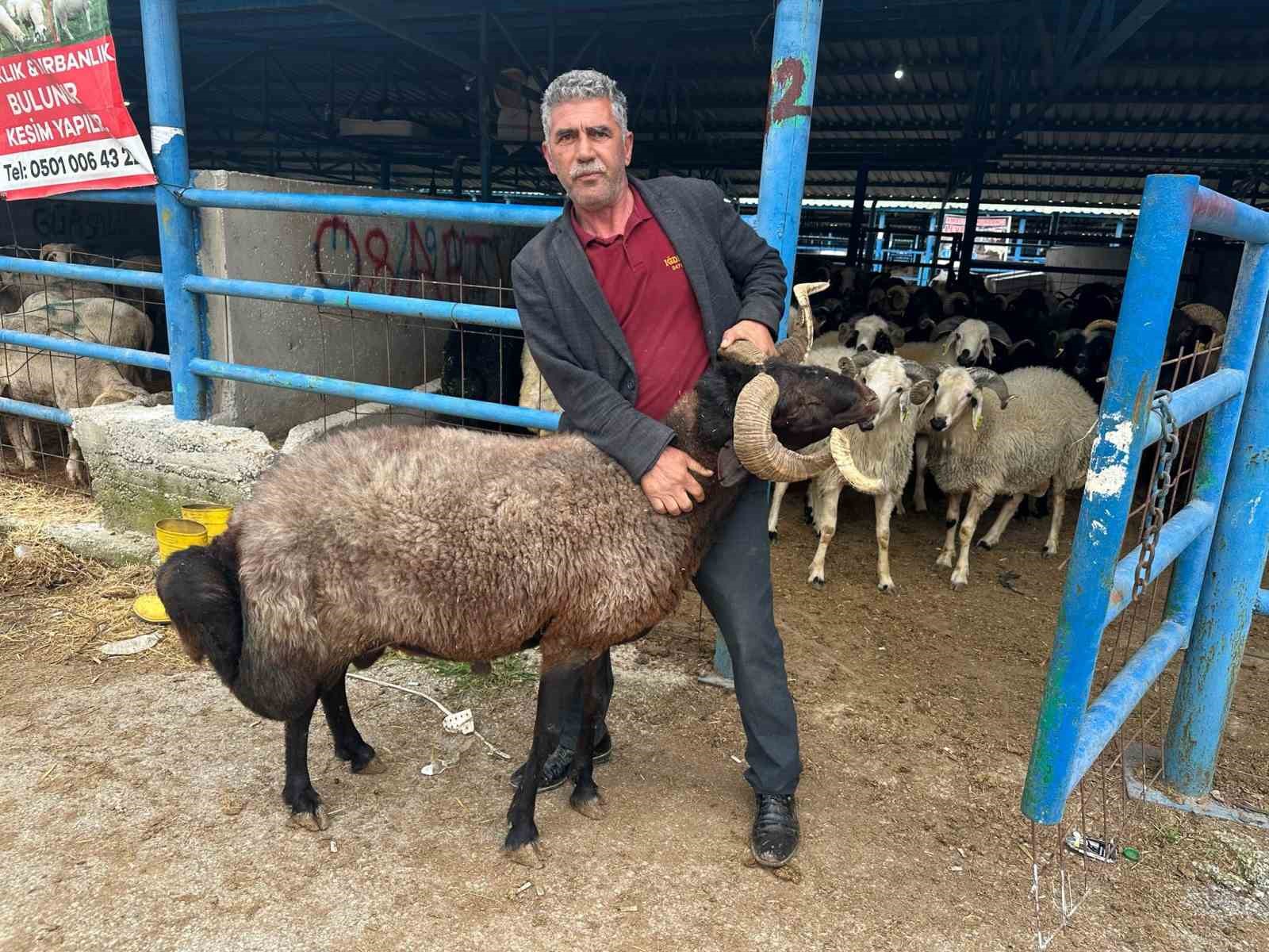 Bursa’daki kurbanlık pazarında hareketlilik
