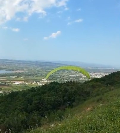 Paraşütü ile ormana daldı