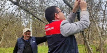 Kırklareli’de kahverengi kokarca böceği izleme çalışmaları