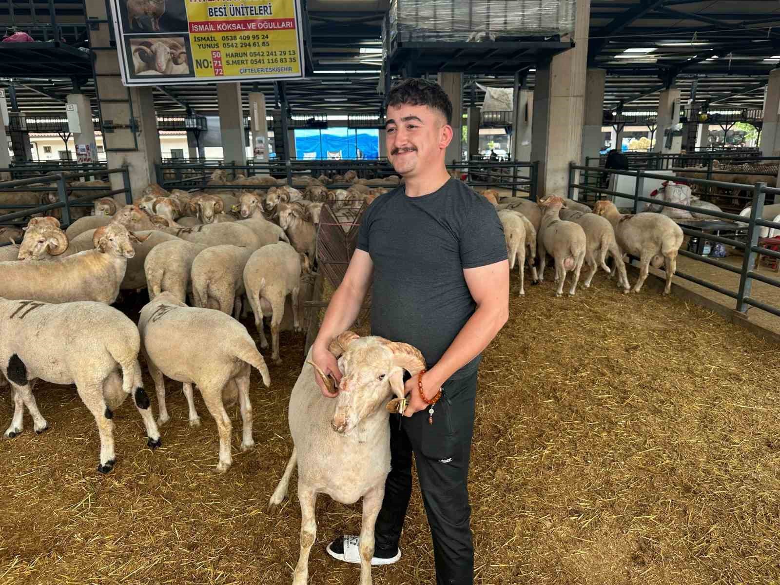 Bursa’daki sıra dışı "gergedan boynuz"lu koç görenleri şaşırtıyor