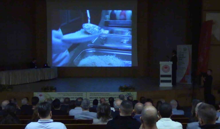 Edirne’de çeltiğin geleceği masaya yatırılıyor