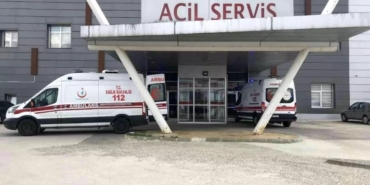 Arı saldırısına uğrayan yaşlı çift hastanelik oldu