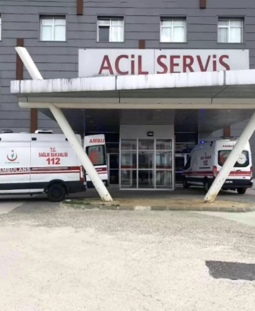 Arı saldırısına uğrayan yaşlı çift hastanelik oldu
