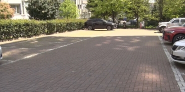 Beylikdüzü’nde başıboş köpekler vatandaşı kovaladı
