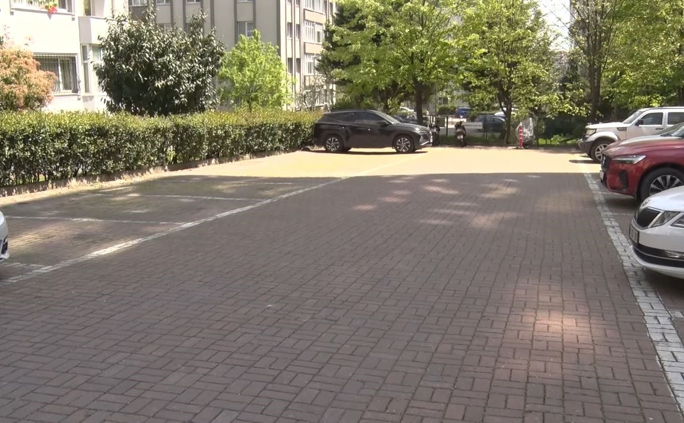 Beylikdüzü’nde başıboş köpekler vatandaşı kovaladı