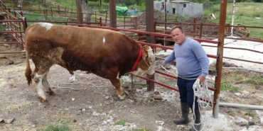 1 tonluk ‘Paşaköy Efesi’ 420 bin TL’den alıcısını bekliyor