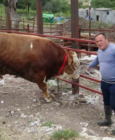 1 tonluk ‘Paşaköy Efesi’ 420 bin TL’den alıcısını bekliyor