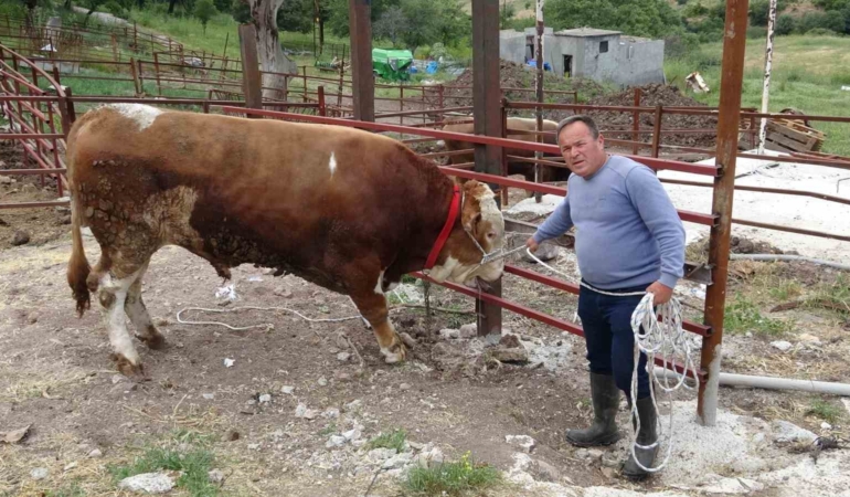 1 tonluk ‘Paşaköy Efesi’ 420 bin TL’den alıcısını bekliyor