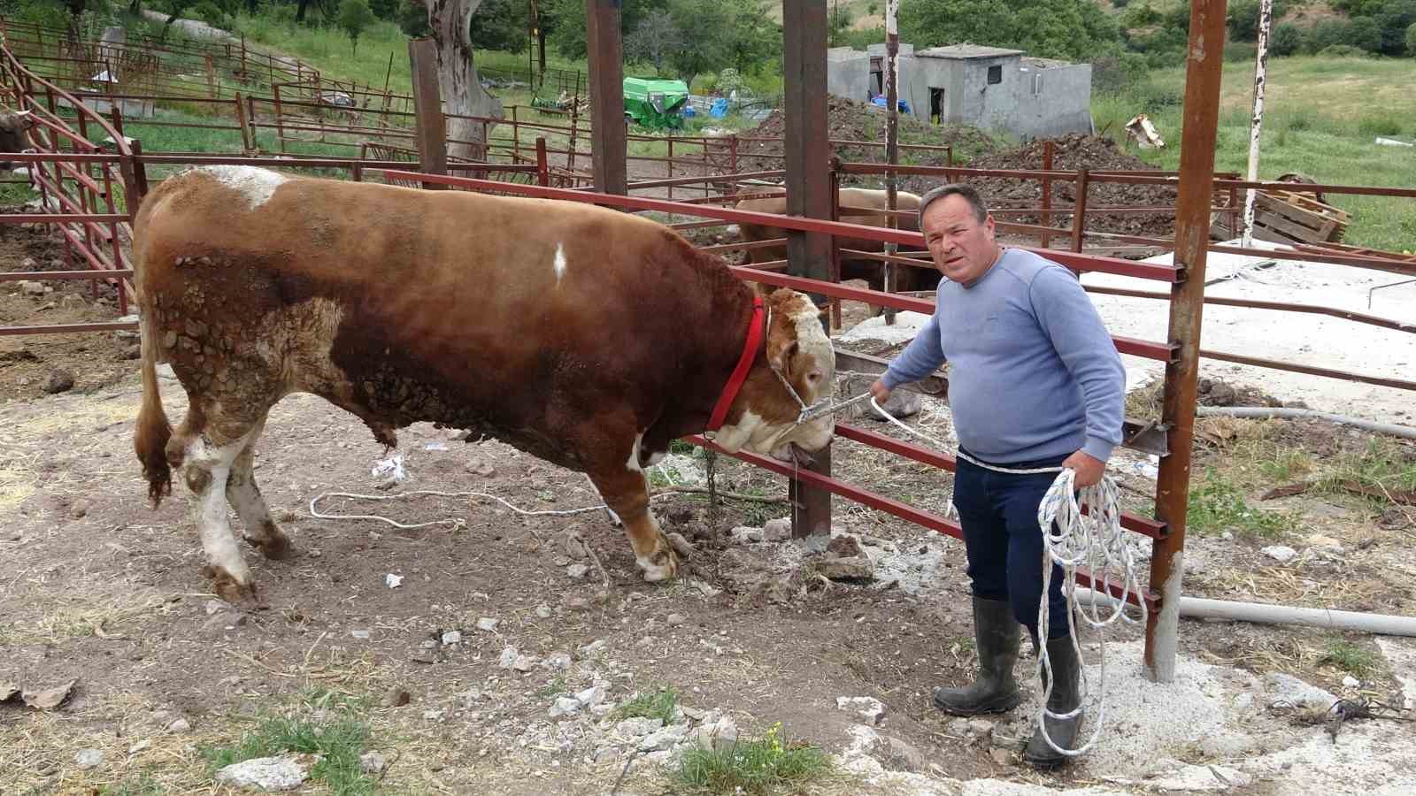 1 tonluk ‘Paşaköy Efesi’ 420 bin TL’den alıcısını bekliyor