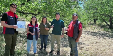 Kahverengi kokarcaya karşı samuray arısı salınımı yapıldı