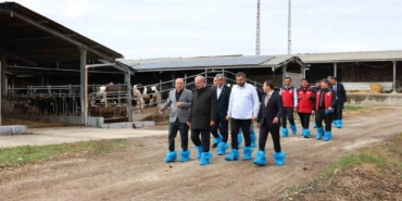 Kurban Bayramı öncesi hayvancılık işletmelerinde inceleme