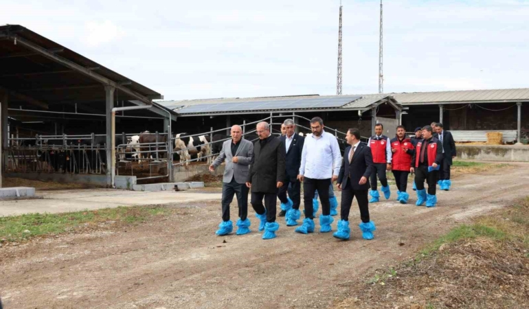 Kurban Bayramı öncesi hayvancılık işletmelerinde inceleme