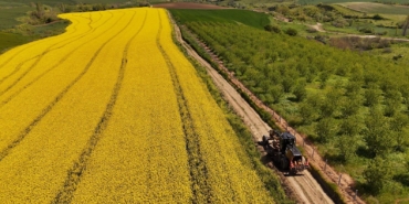 Tarla yolları hasada hazırlanıyor