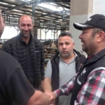 Kurban pazarında güldüren anlar :Mali Polis çetin pazarlığa dahil oldu