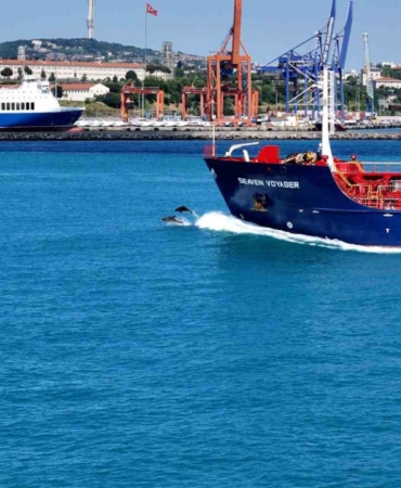 İstanbul Boğazından yunus sürüsüyle Kurban bayramı manzarası
