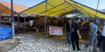 Avcılar’da kurbanlıkların büyük kısmı tükendi, satıcılar çadırlara ‘Bitti’ yazısını astı