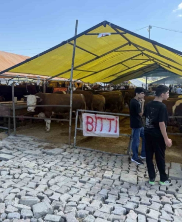 Avcılar’da kurbanlıkların büyük kısmı tükendi, satıcılar çadırlara ‘Bitti’ yazısını astı