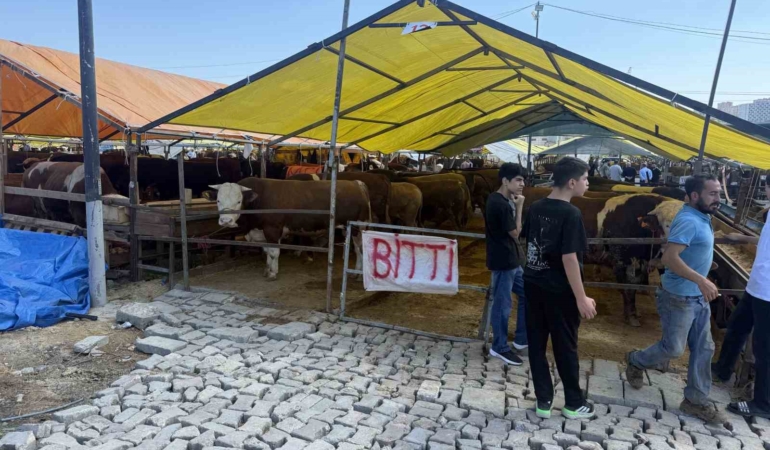 Avcılar’da kurbanlıkların büyük kısmı tükendi, satıcılar çadırlara ‘Bitti’ yazısını astı